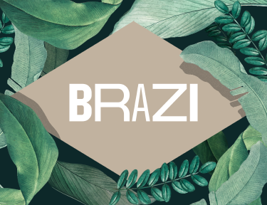 Sobre Brazi