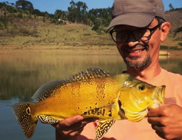 Sobre MEU QUINTAL - BY NORITOMI