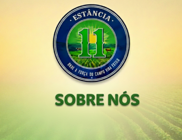 Sobre Estância 11
