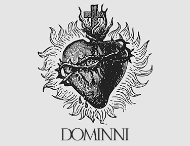 Sobre DOMINNI