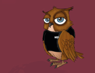 Sobre Biruta Company