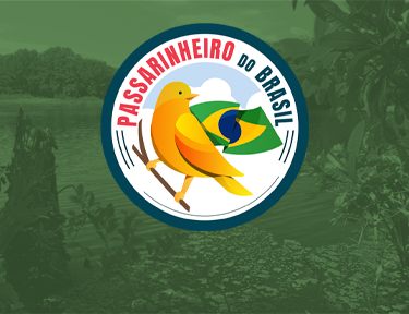 Sobre Passarinheiro do Brasil