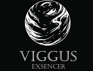 Sobre VIGGUS EXSENCER