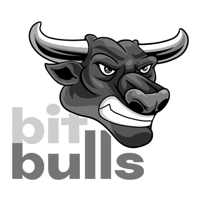 Sobre Bit Bulls Store