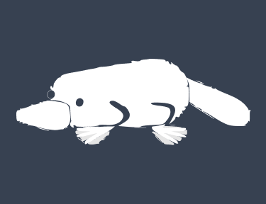 Sobre RCCO WEAR – Camisetas urbanas, minimalistas e criativas