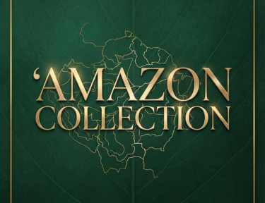 Sobre AMAZON Collection
