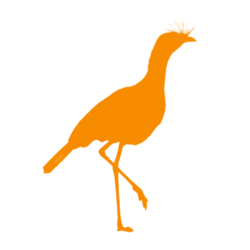 Sobre Vasta Camisetas