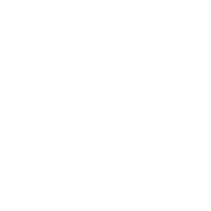 Logo de AZIR Â®